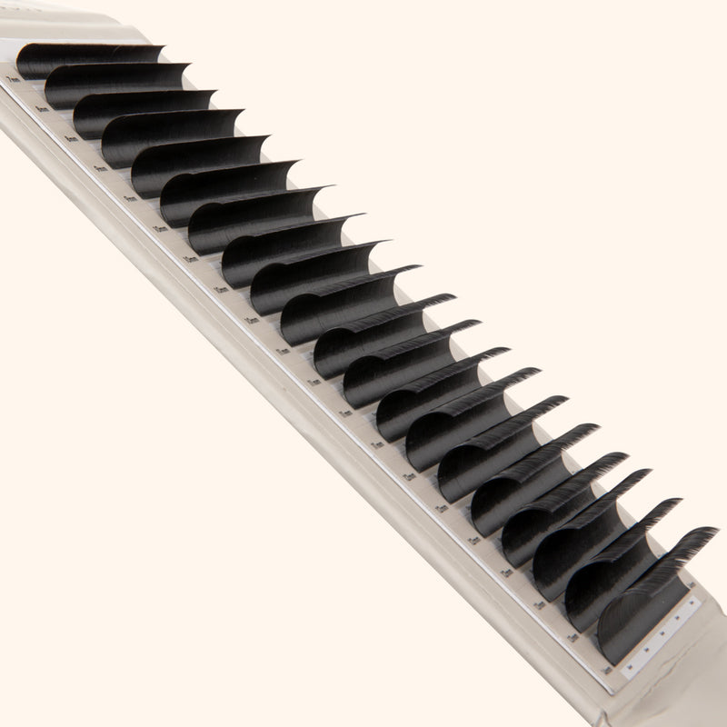 Volume Kensington Lashes 0.07 - 20 Lash Lines