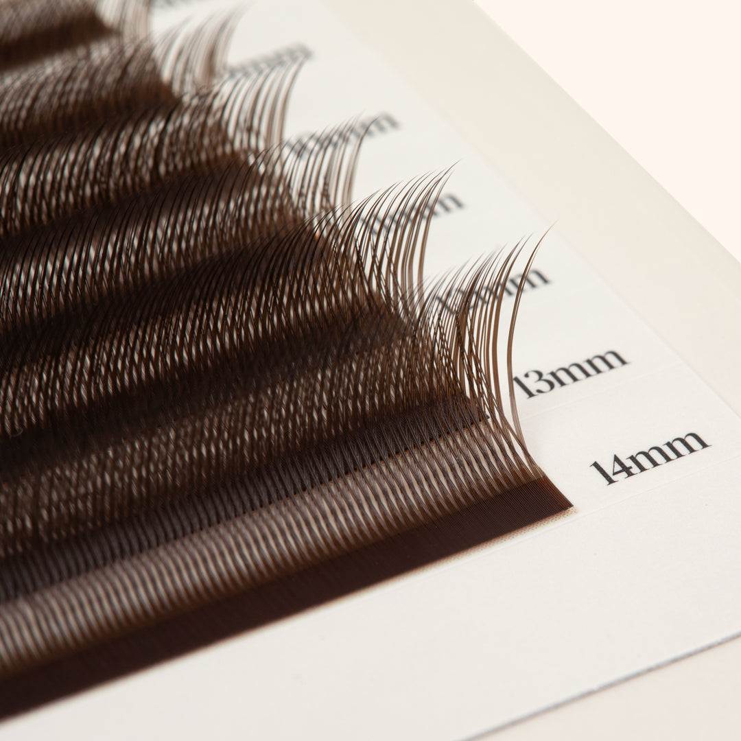 Kitten Lashes - Brown