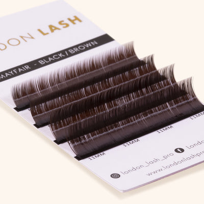 Black Brown Faux Mink Lashes - Sample