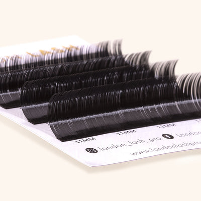 Chelsea Lashes - samples