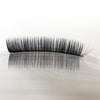 Curved Acrylic Lash Palette | Professional Lash Palettes & Storage from London Lash Pro