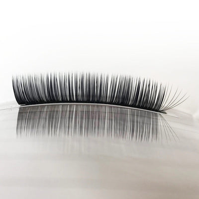 Curved Acrylic Lash Palette | Professional Lash Palettes & Storage from London Lash Pro