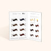 InLei® Lash & Brow Tint Colour Chart