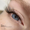 Classic Faux Mink Mayfair Lashes 0.12 - Professional Eyelash Extensions at London Lash