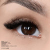 Classic Faux Mink Mayfair Lashes 0.12 - Professional Eyelash Extensions at London Lash