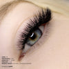 Classic Faux Mink Mayfair Lashes 0.12 - Professional Eyelash Extensions at London Lash