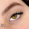 Classic Faux Mink Mayfair Lashes 0.12 - Professional Eyelash Extensions at London Lash