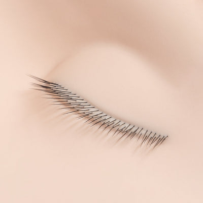 Eyebrow and eyelash