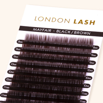 Black Brown Faux Mink Mayfair Lashes 0.07