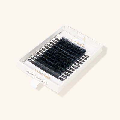 CAMELLIA - EASY FANNING VOLUME LASHES 0.05