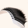 CAMELLIA - EASY FANNING VOLUME LASHES 0.05