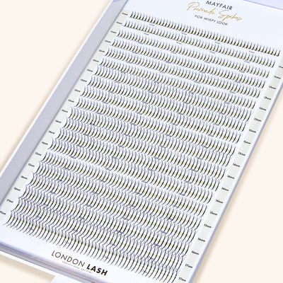 Premade Spikes Mayfair 5D 0.06 1000pcs - MIX TRAY