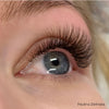 Black Brown Faux Mink Mayfair Lashes 0.10 | Professional Eyelash Extensions at London Lash Pro